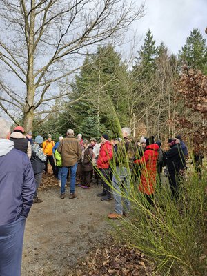 Foto von der Veranstaltung "Wald im Wandel" am 15.02.2026